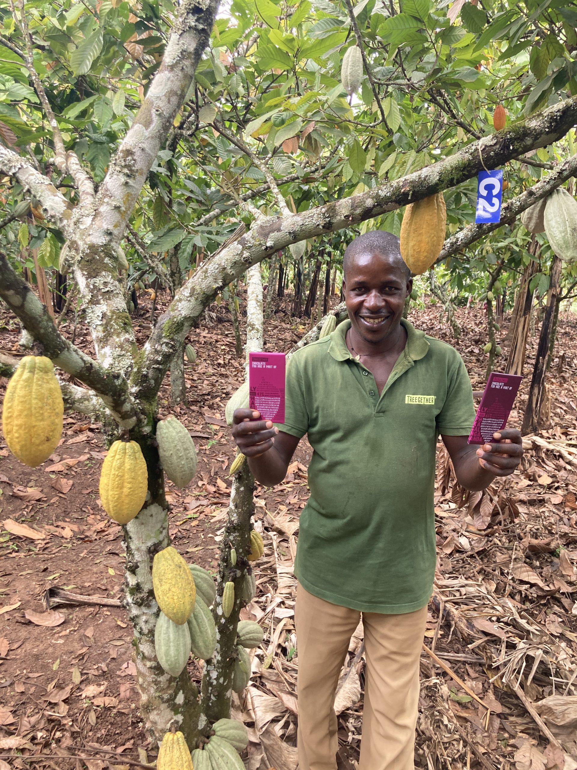 Cacaoyer de Joseph Kiwanuka